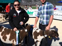 2019_ausstellung polling_681